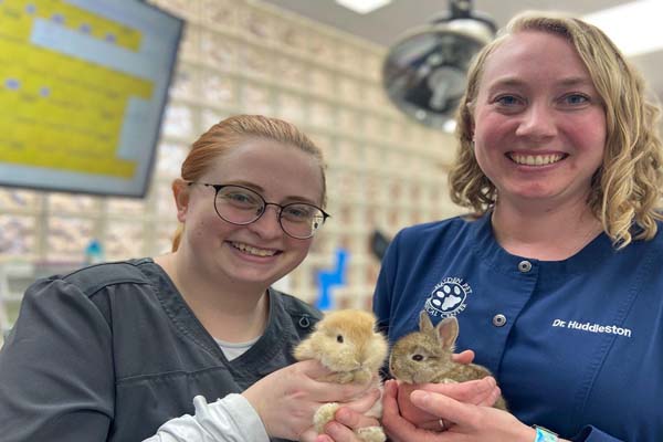 Hayden Pet Medical Center team holding bunnies