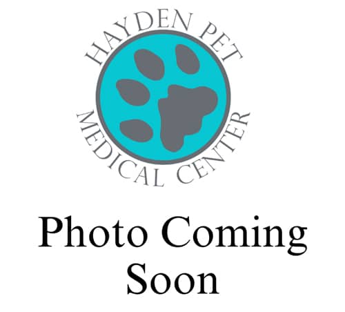 Hayden Pet Medical Center coming soon