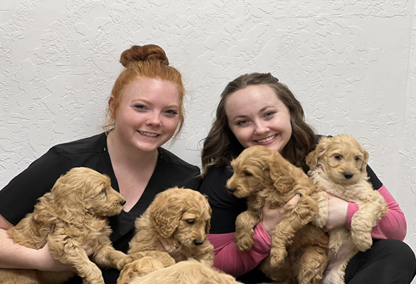 team holding puppies