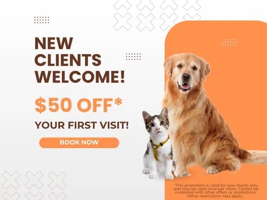 New client promotion graphics